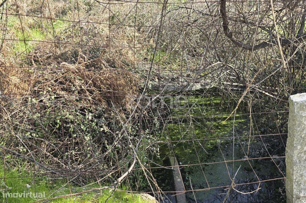 Terreno em Nelas para construção com projeto - Grande imagem: 4/17