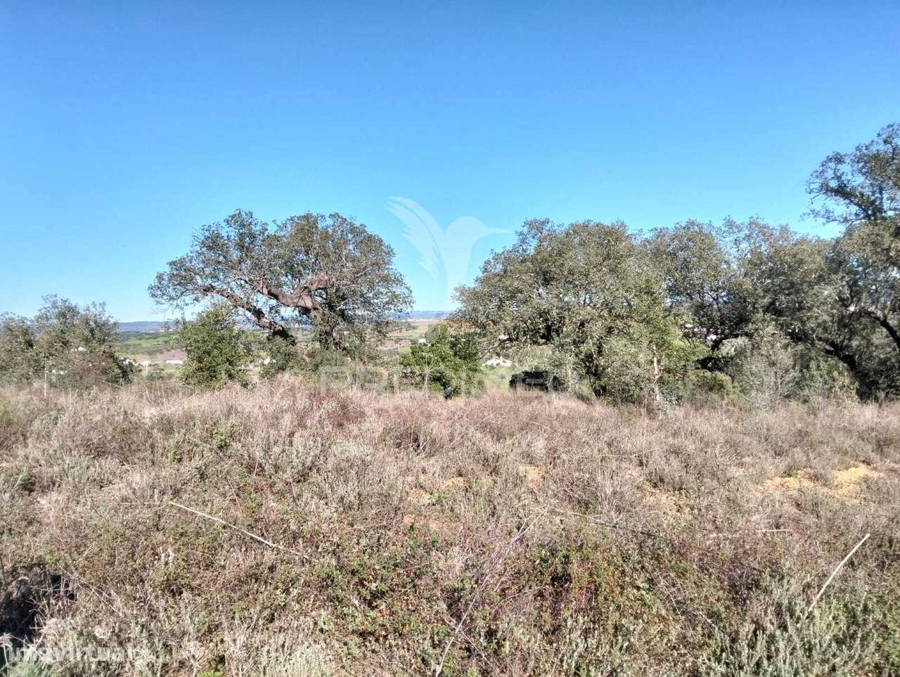 Terreno Rustico com 1,425 hectares - Grande imagem: 4/16