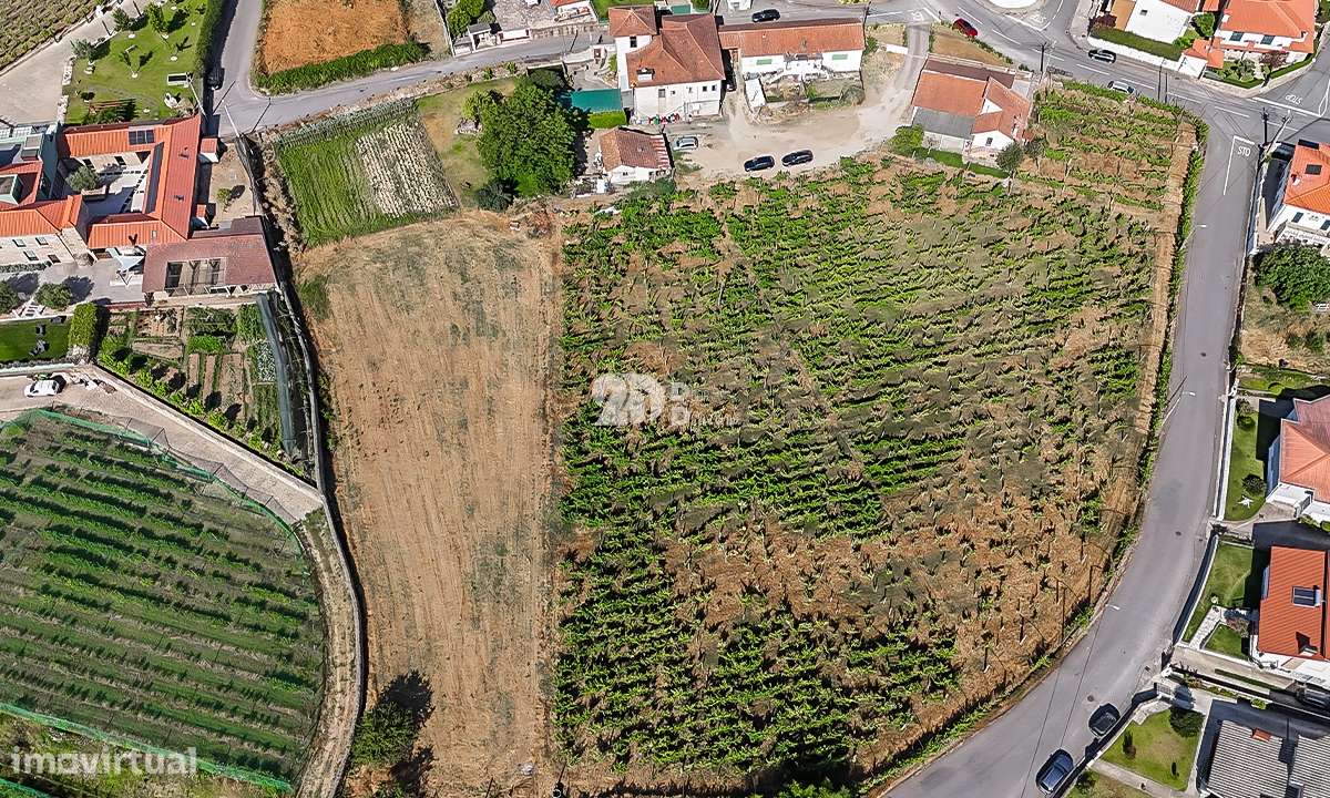 Quinta 13.000m² - Antas - Grande imagem: 4/11