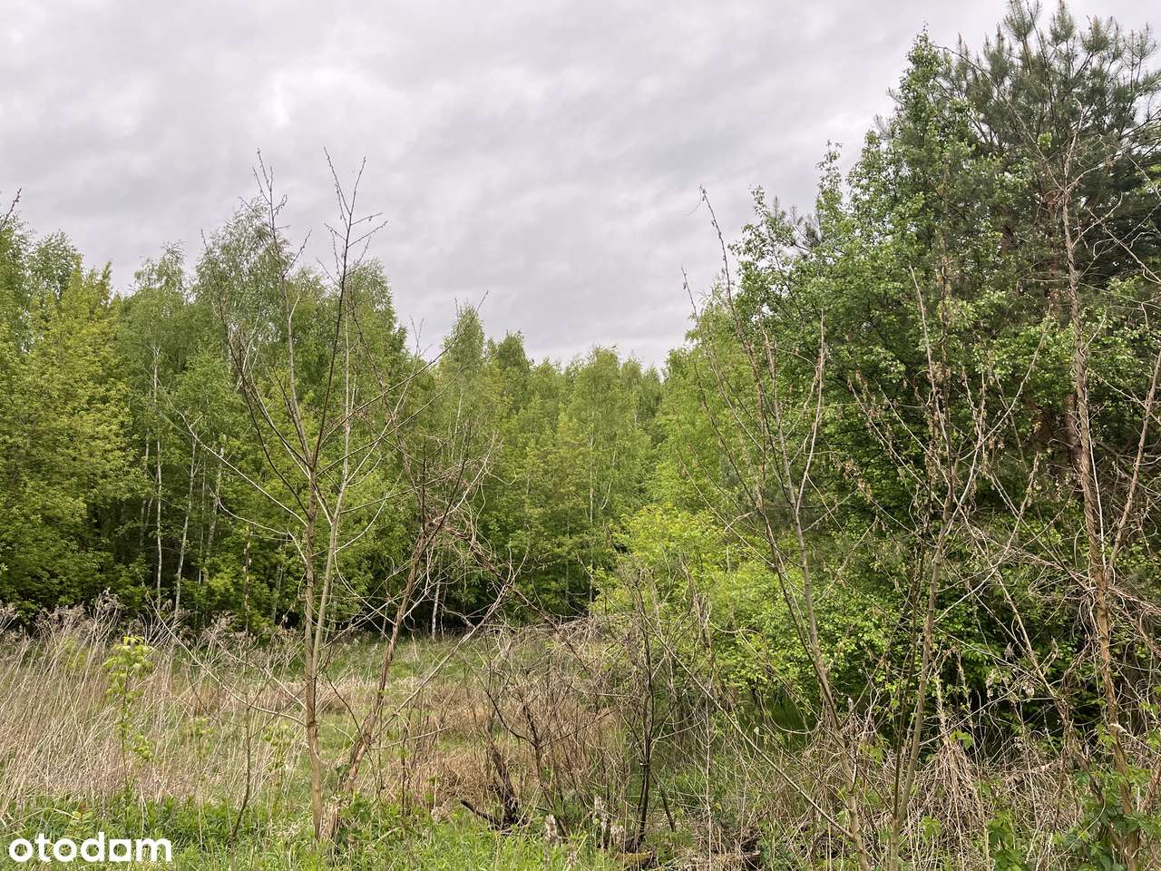 Malownicza działka z linią brzegową Świdra-5