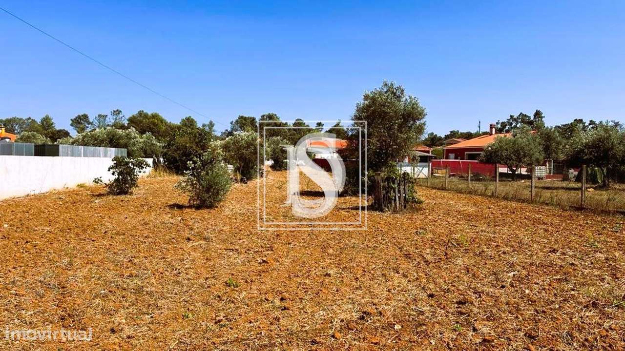 Terreno Não definido em UDF de Brogueira, Parceiros de Igreja e Alcoro - Grande imagem: 4/6