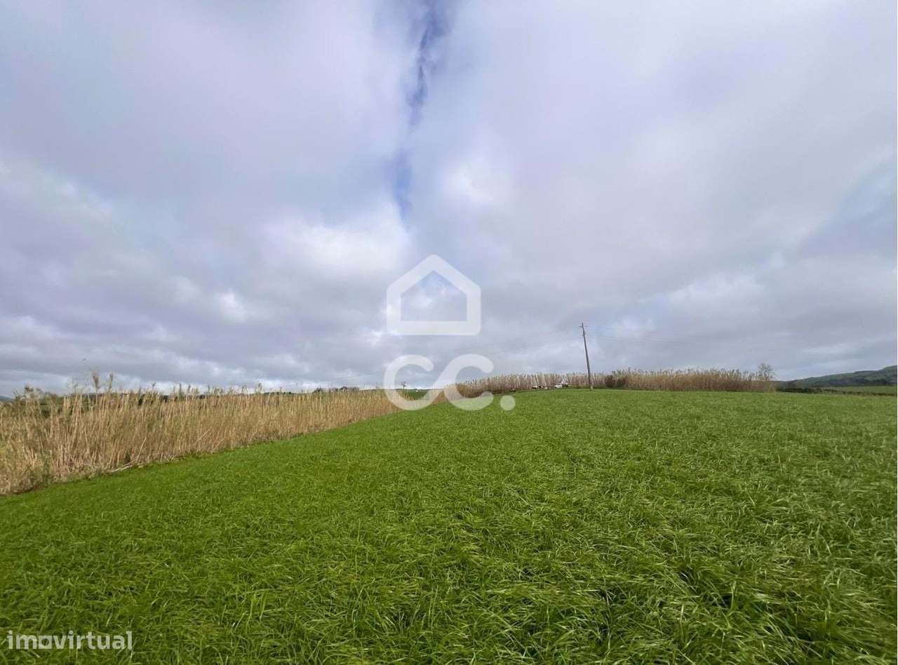 Terreno  com 12.660,00 m2 - Ponta Garça - Vila Franca Do Campo - Grande imagem: 5/6