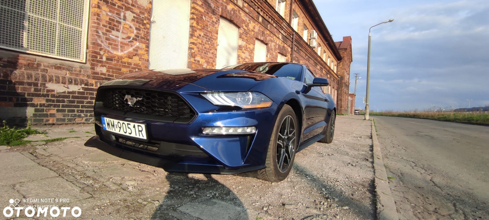 Ford Mustang 2.3 EcoBoost - 17