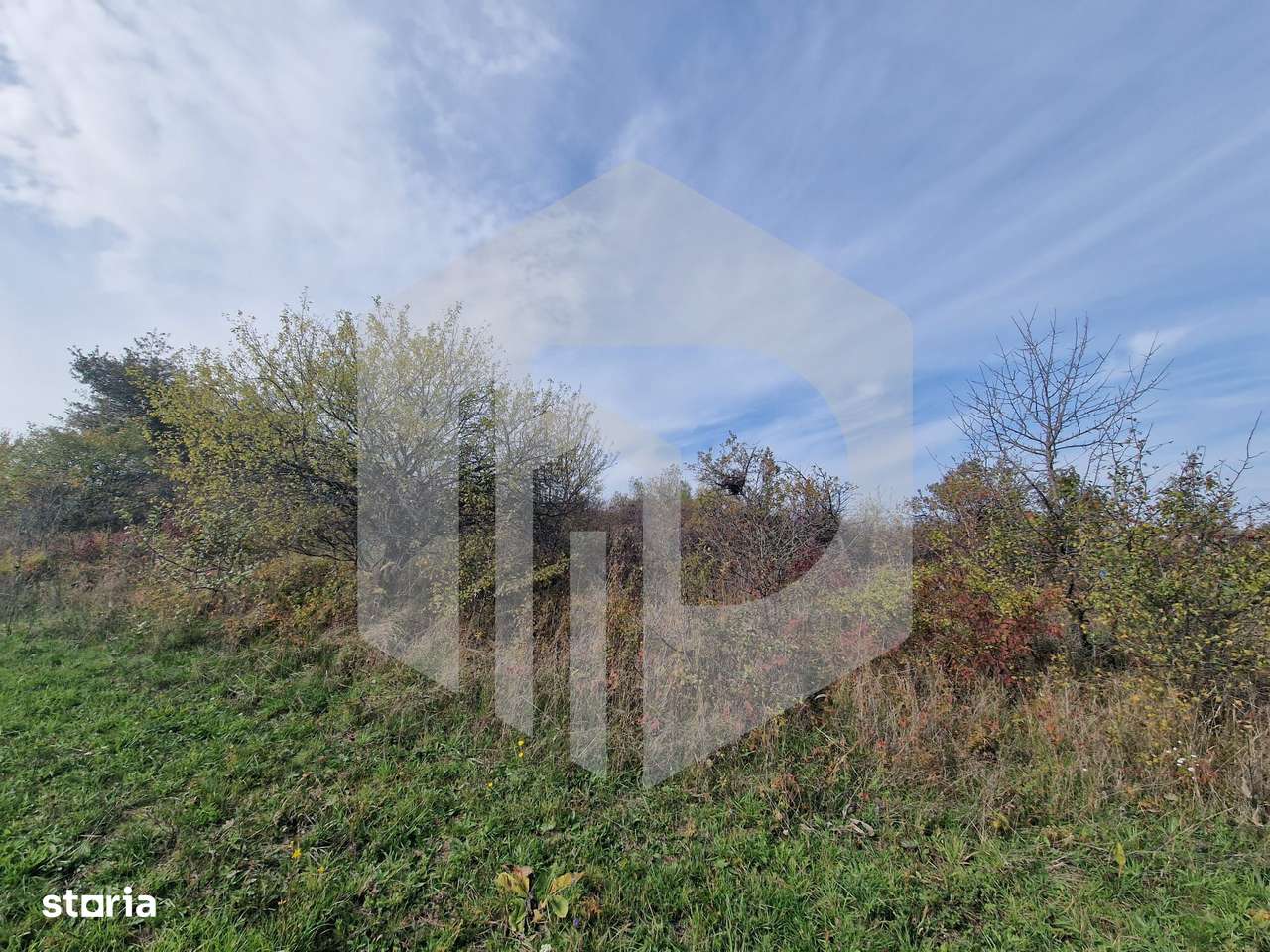 Teren de vanzare - 1500 mp - Daia Noua - Imagine principală: 3/3