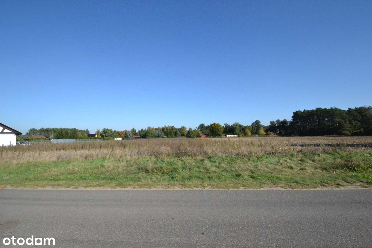 Duża działka budowlana Wiatrowo gmina Wągrowiec-3