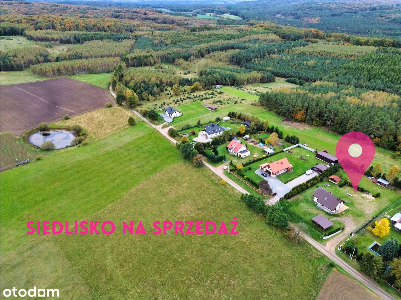 Siedlisko z widokiem na kaszubskie wzgórza! - Pełny obrazek: 5/9