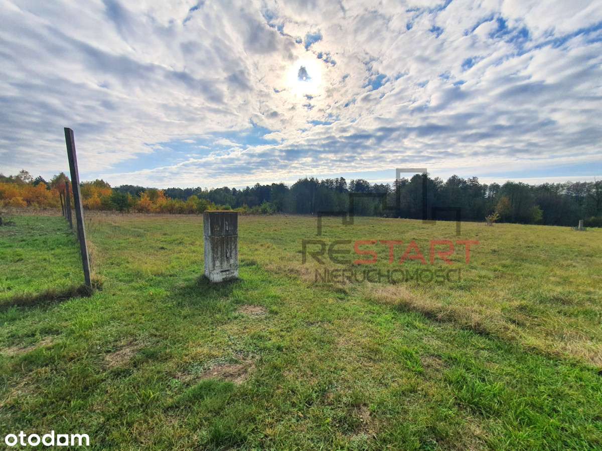 Urocza działka w Musułach! Tylko U Nas! - Pełny obrazek: 4/4
