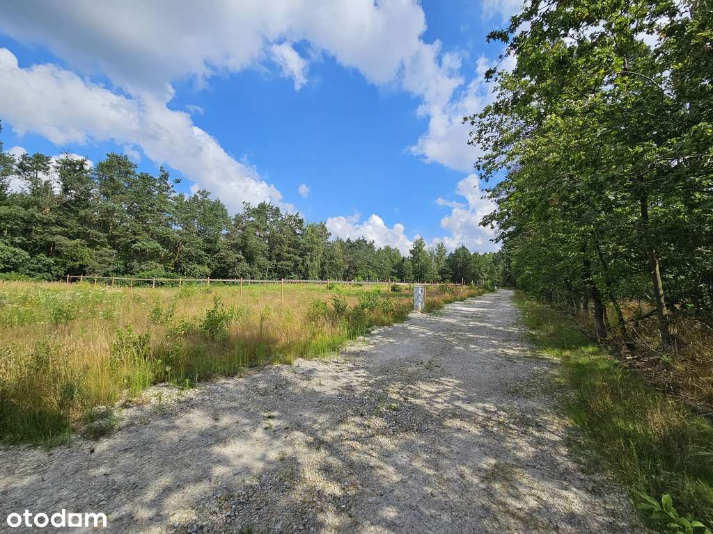 Działka budowlana w sąsiedztwie lasu - Łódź - Pełny obrazek: 4/6