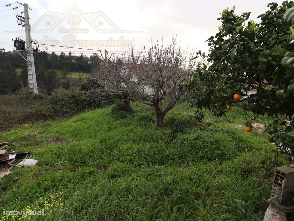 Moradia T3 com garagem e terreno 4120m2-32