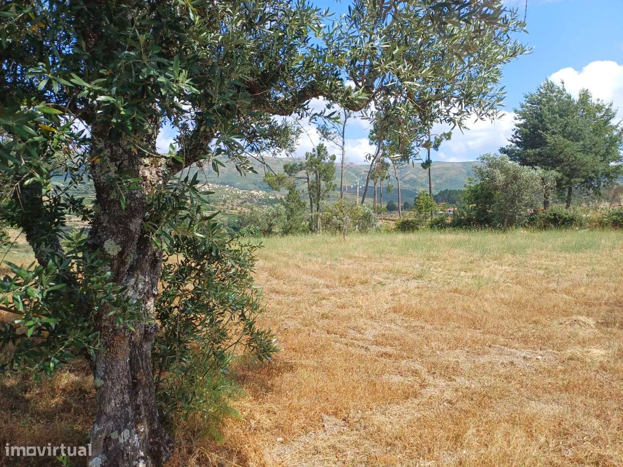 Terreno  Venda em Figueiró da Serra e Freixo da Serra,Gouveia - Grande imagem: 5/7
