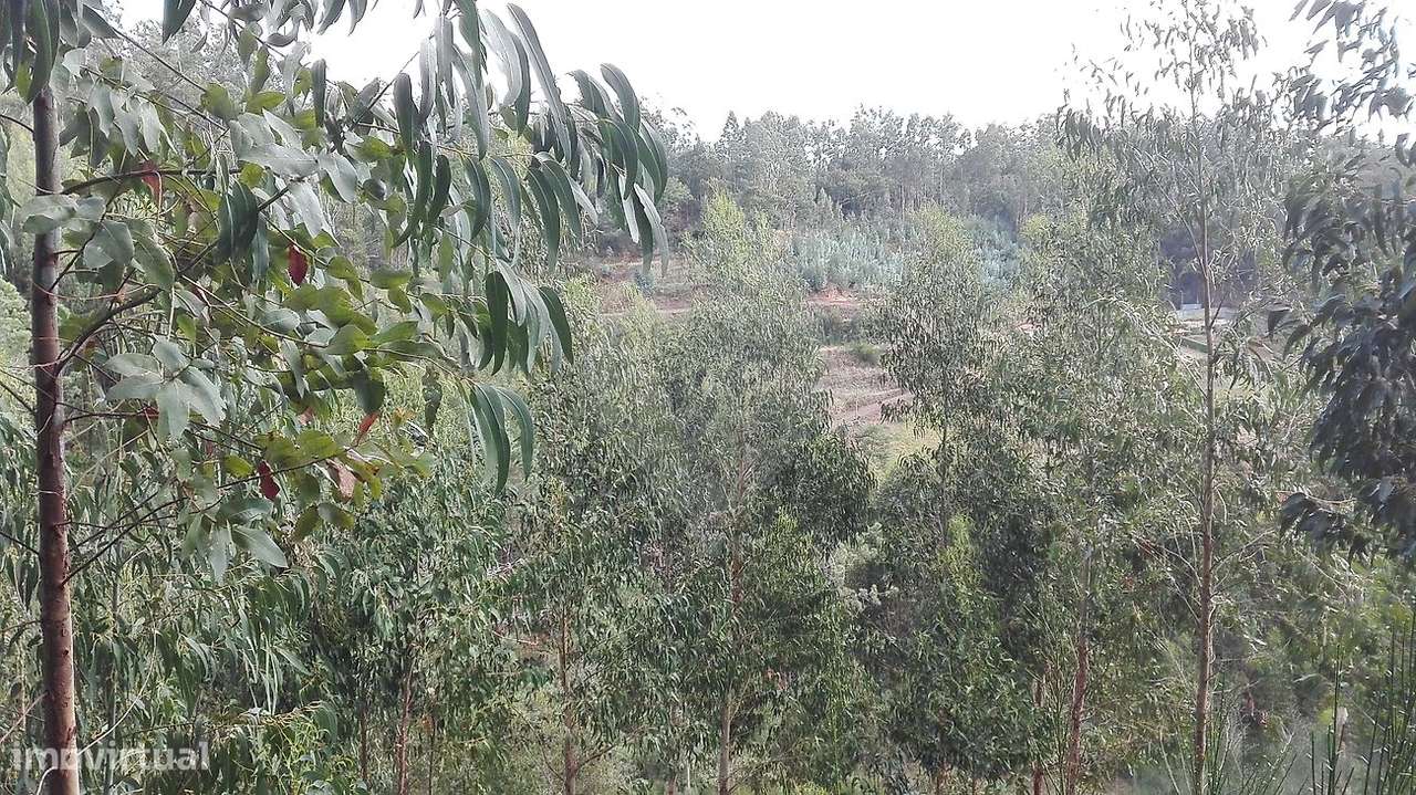 Terreno  para venda - Grande imagem: 5/16