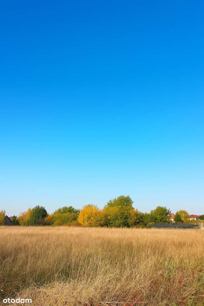Działka pod dom lub usługę, Białołęka ul. Juranda Ze Spychowa 850m2 - Pełny obrazek: 5/6