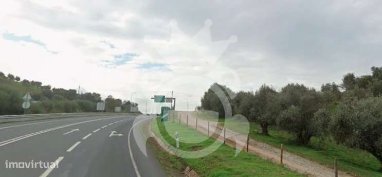 Terreno Rústico em Portel com 5.897 m² – Excelente Oportunidade!  - Grande imagem: 4/7