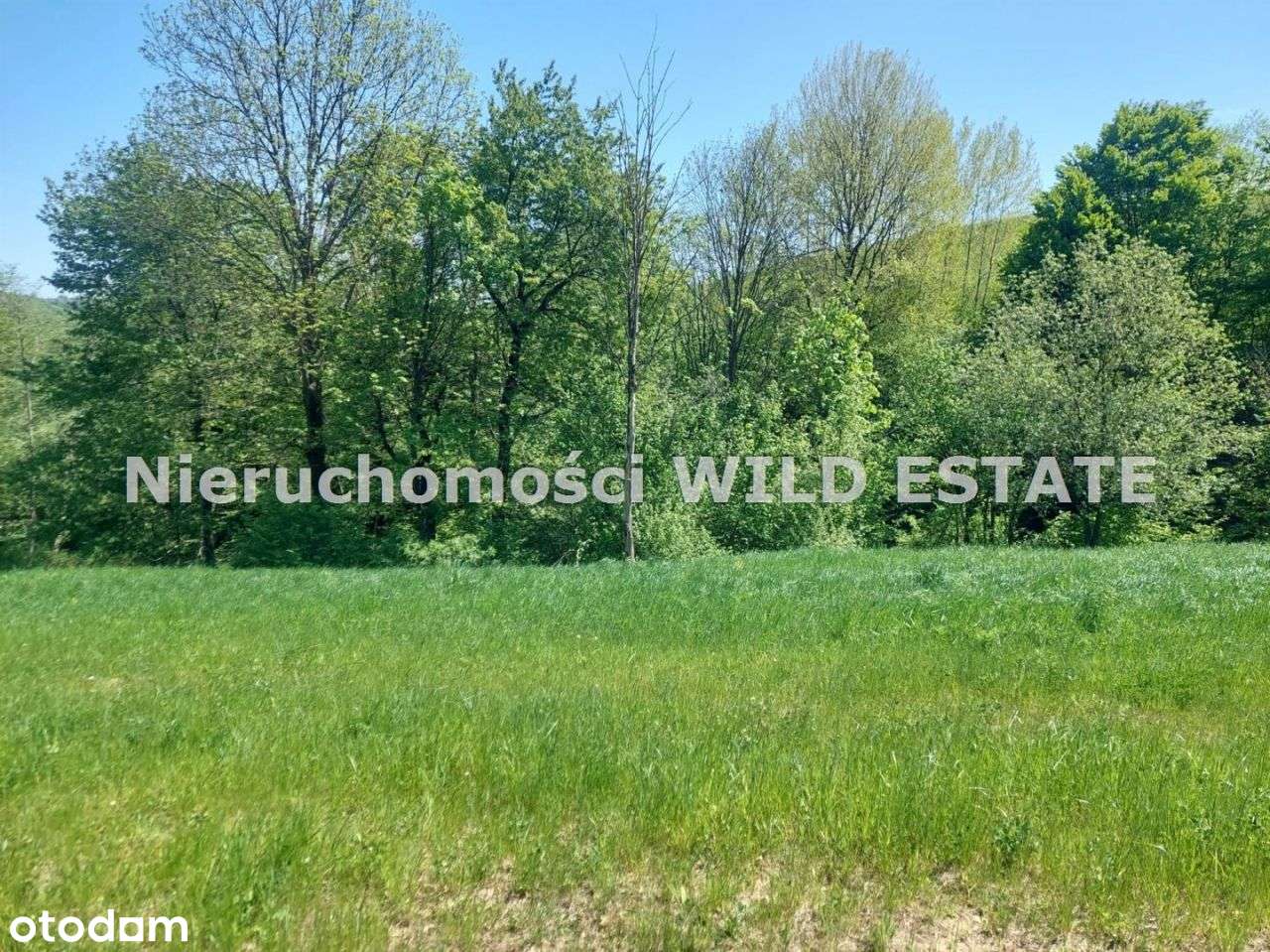 Działka, 4 572 m², Baligród - Pełny obrazek: 5/11