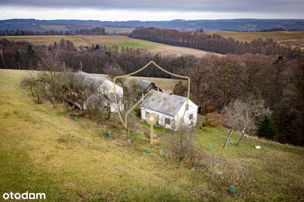 Siedlisko 2,5 ha z domem, lasem i panoramą Tatr - Pełny obrazek: 5/12