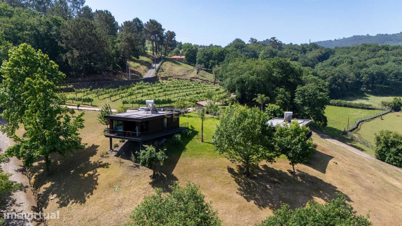 Quinta de Luxo de Vinho e Natureza com Potencial de Expansão perto do-38