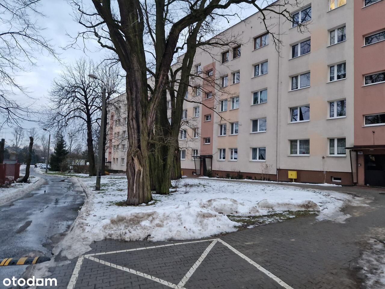 Lokal mieszkalny - Katowice