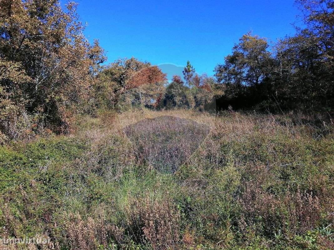 Terreno  para venda - Grande imagem: 4/6