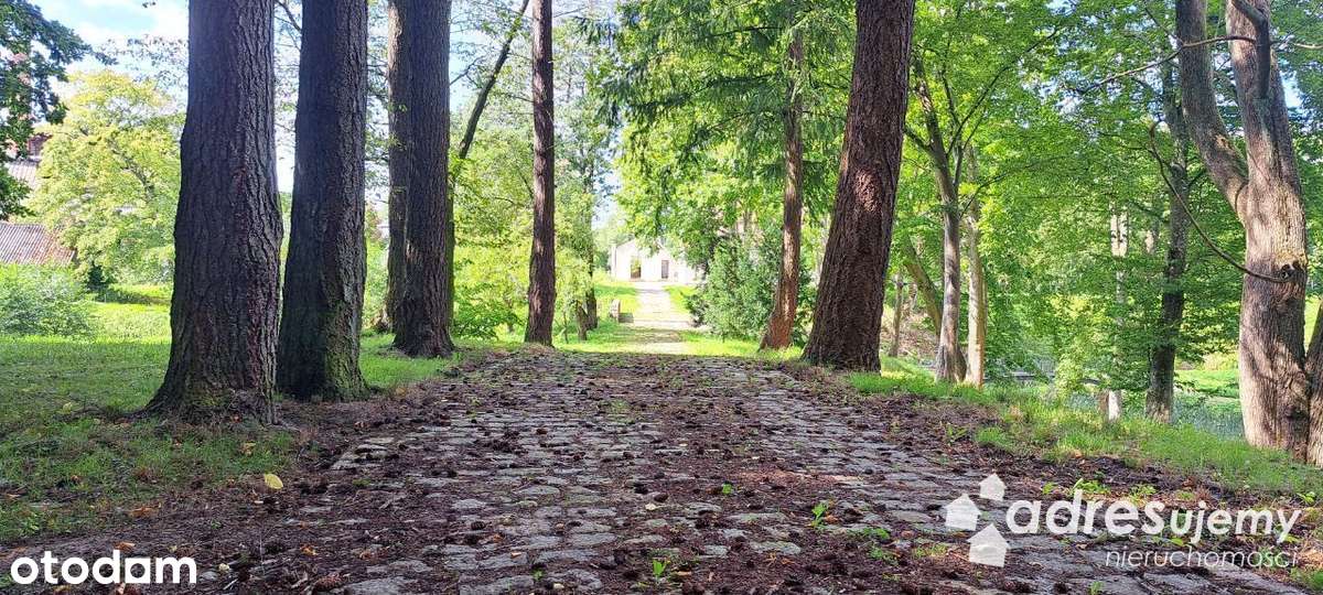 Zespół pałacowo - parkowy nad morzem! adresujemy - Pełny obrazek: 4/20