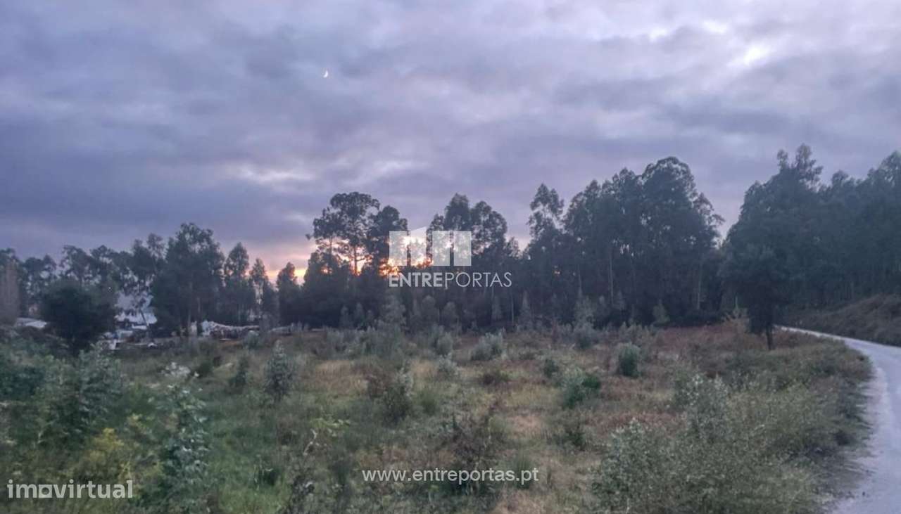 Venda de Terreno Industrial, Cardielos, Viana do Castelo - Grande imagem: 4/29