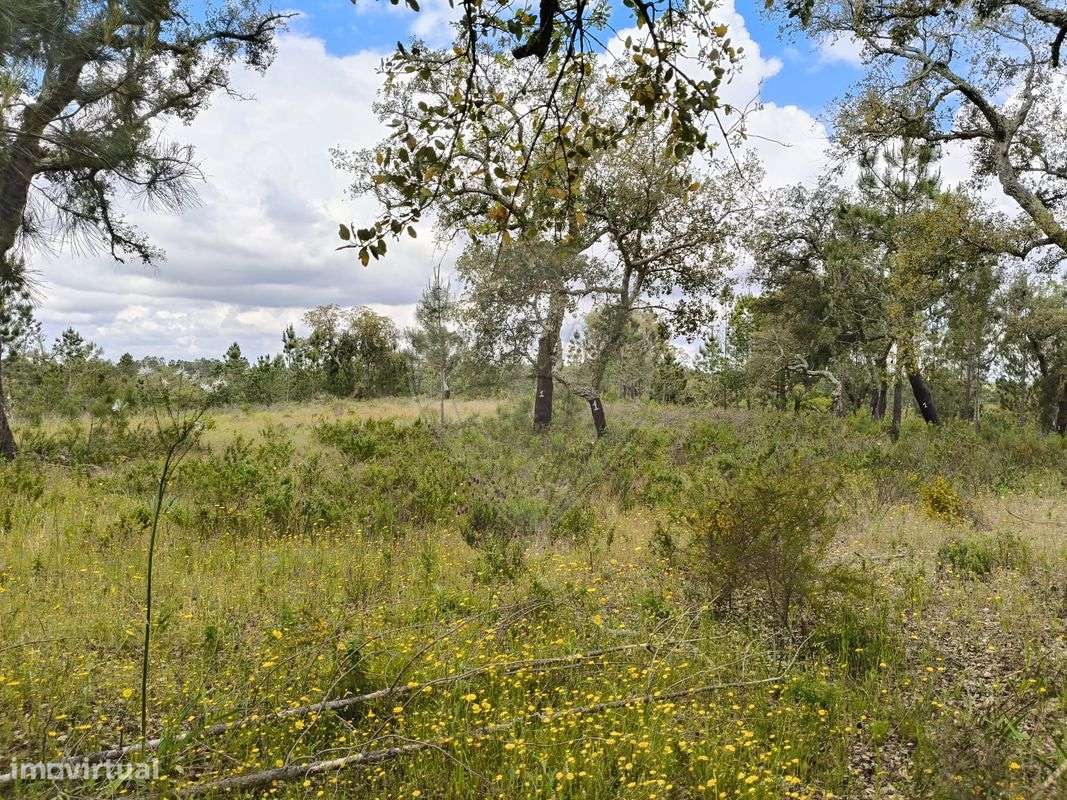 Terreno  para venda - Grande imagem: 4/15