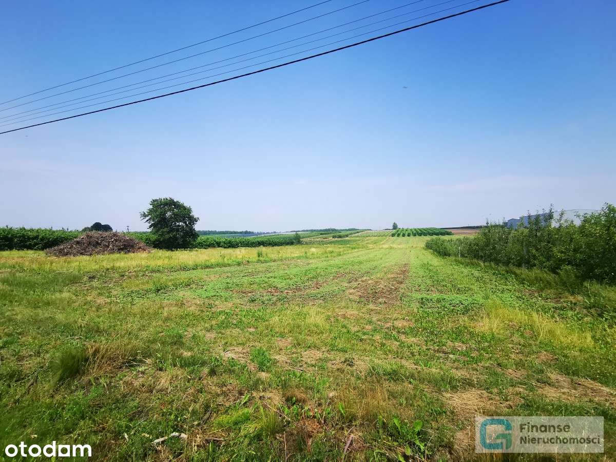 Działki rolno-budowlane w Dańkowie/ Biała Rawska - Pełny obrazek: 4/11