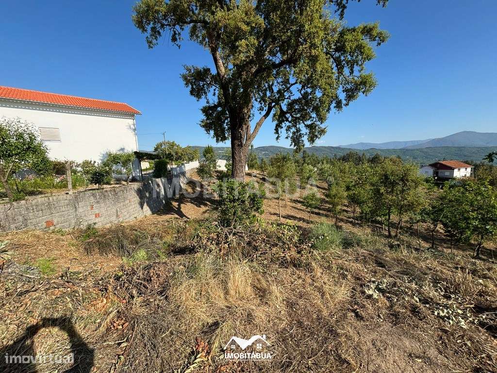 Terreno rústico de 8000 m2 com viabilidade de construção a cerca de...-17