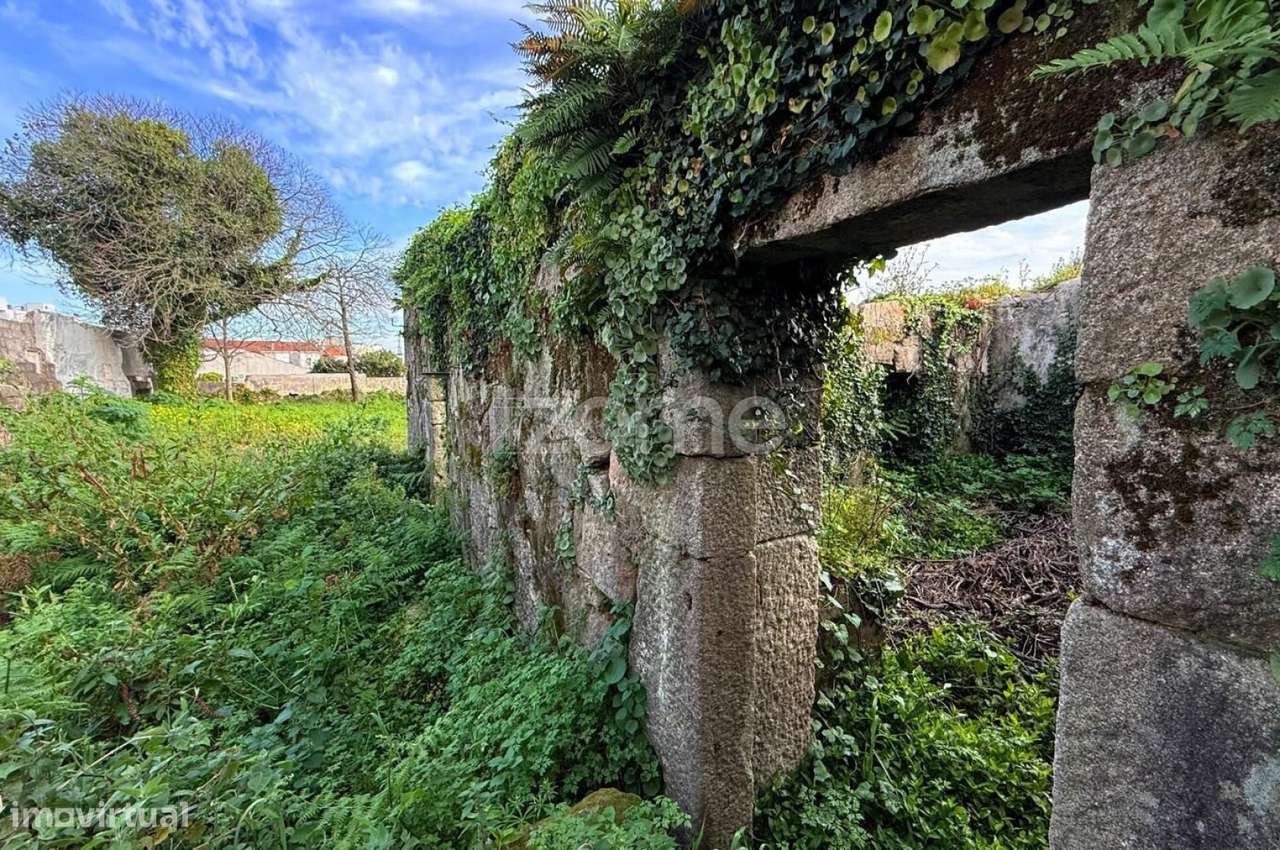 Terreno com ruína e projecto aprovado de moradia térrea, S. Mamede - Grande imagem: 3/19