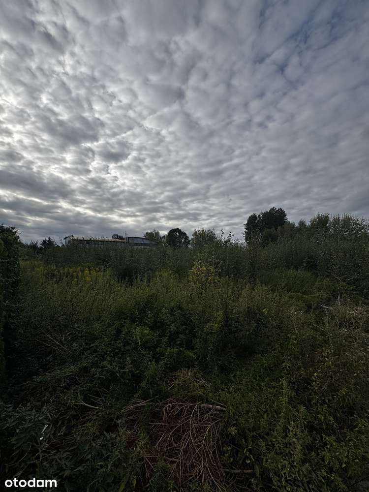 Działka Ursynów -ul. Jemiołuszki, 4798 m², idealna pod inwestycję - Pełny obrazek: 4/5