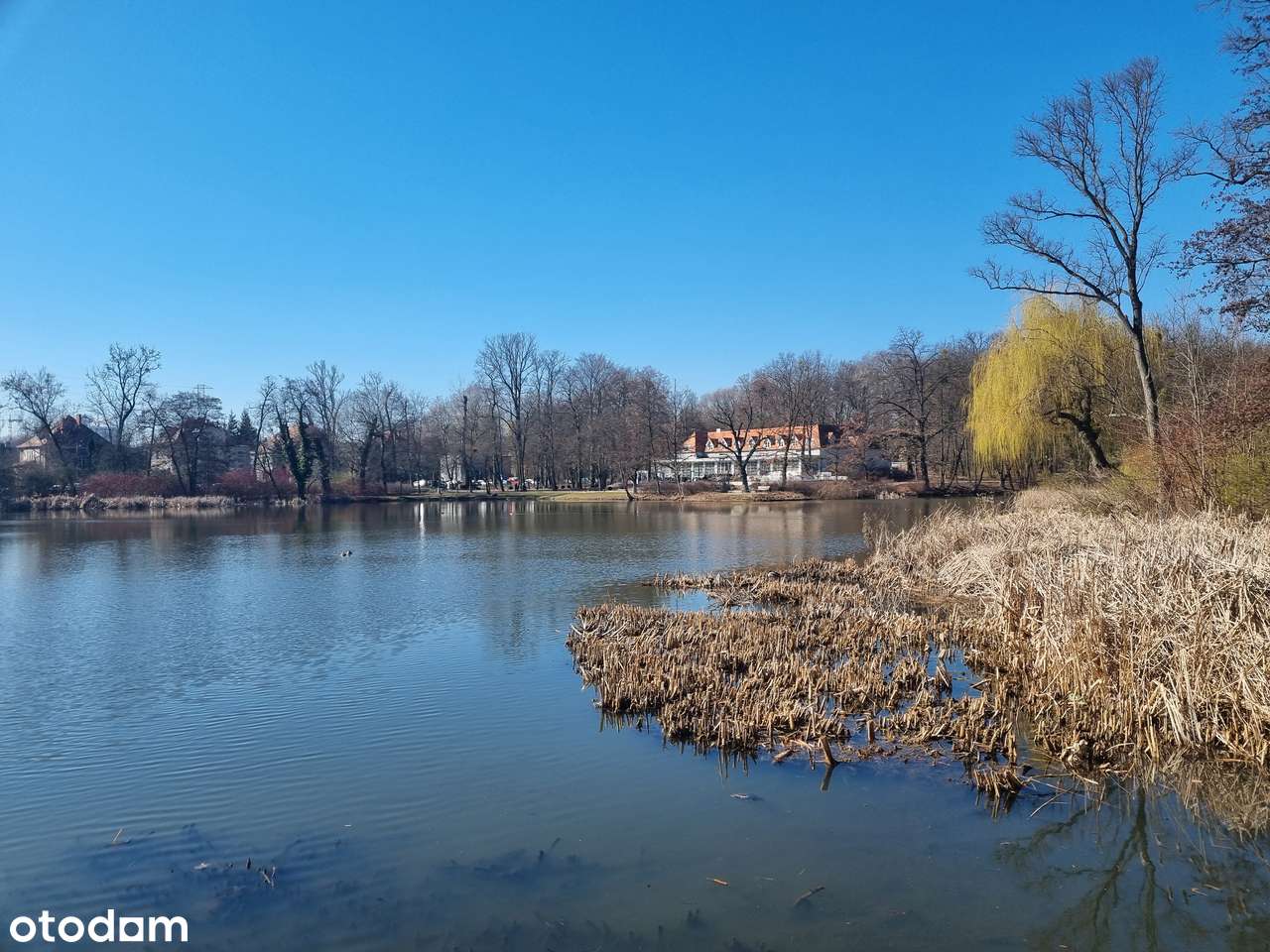 Stary Sołacz I i II piętro ekskluzywnej willi , widok na Park Sołacki-14