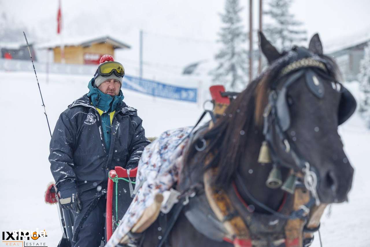 Teren cu Certificat Urbanism-12