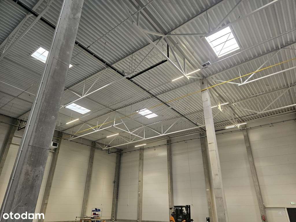 Magazyn na podnajem, 3250 m kw., Poznań, Łubowo - Pełny obrazek: 4/8