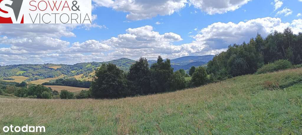 Widokowe, słoneczne działki w Niedźwiedzicy - Pełny obrazek: 5/7