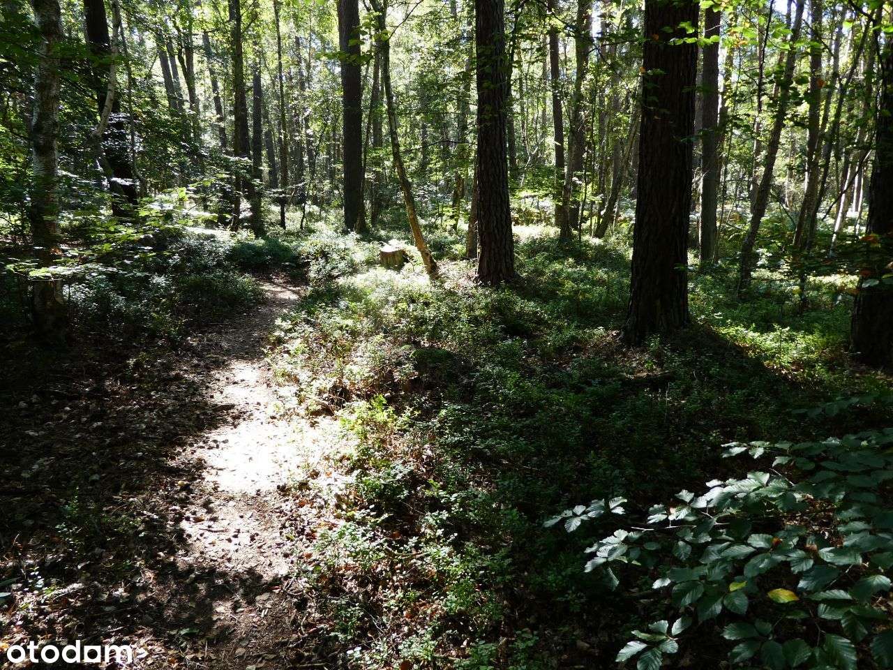 Działka nr 7/44 - zabudowa usługowa _Międzyzdroje - Pełny obrazek: 5/5