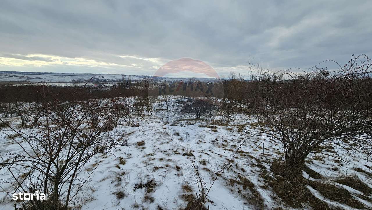 Teren 10,000mp Rădășeni / Șoseaua DN2-E85, județul Suceava - Imagine principală: 4/17