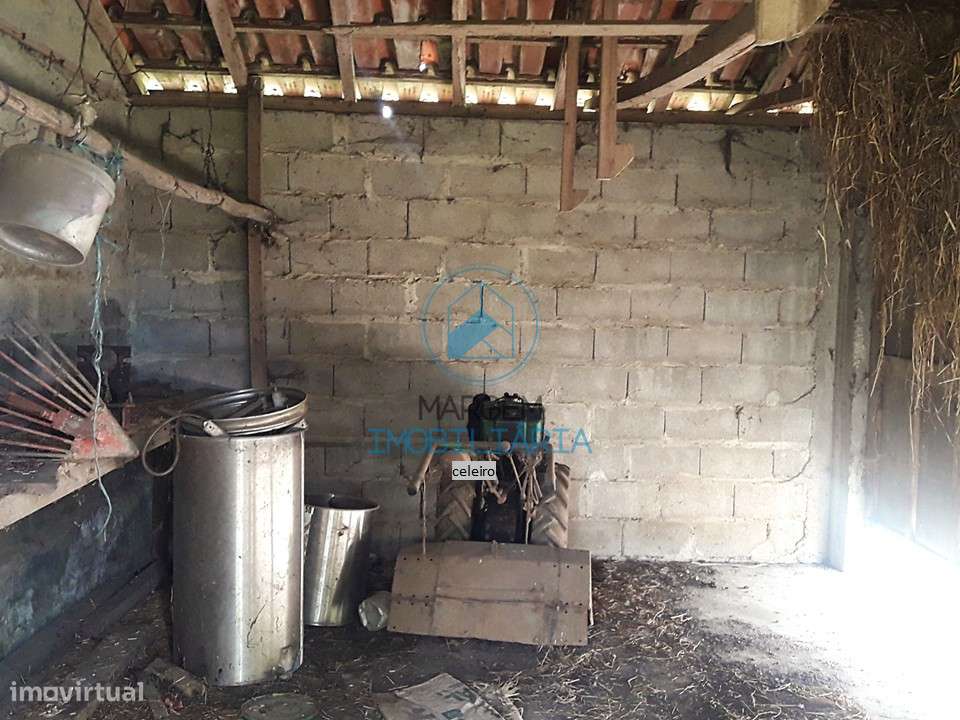 Terreno construção e cultivo – 6000m2 c/moradia devoluta-9