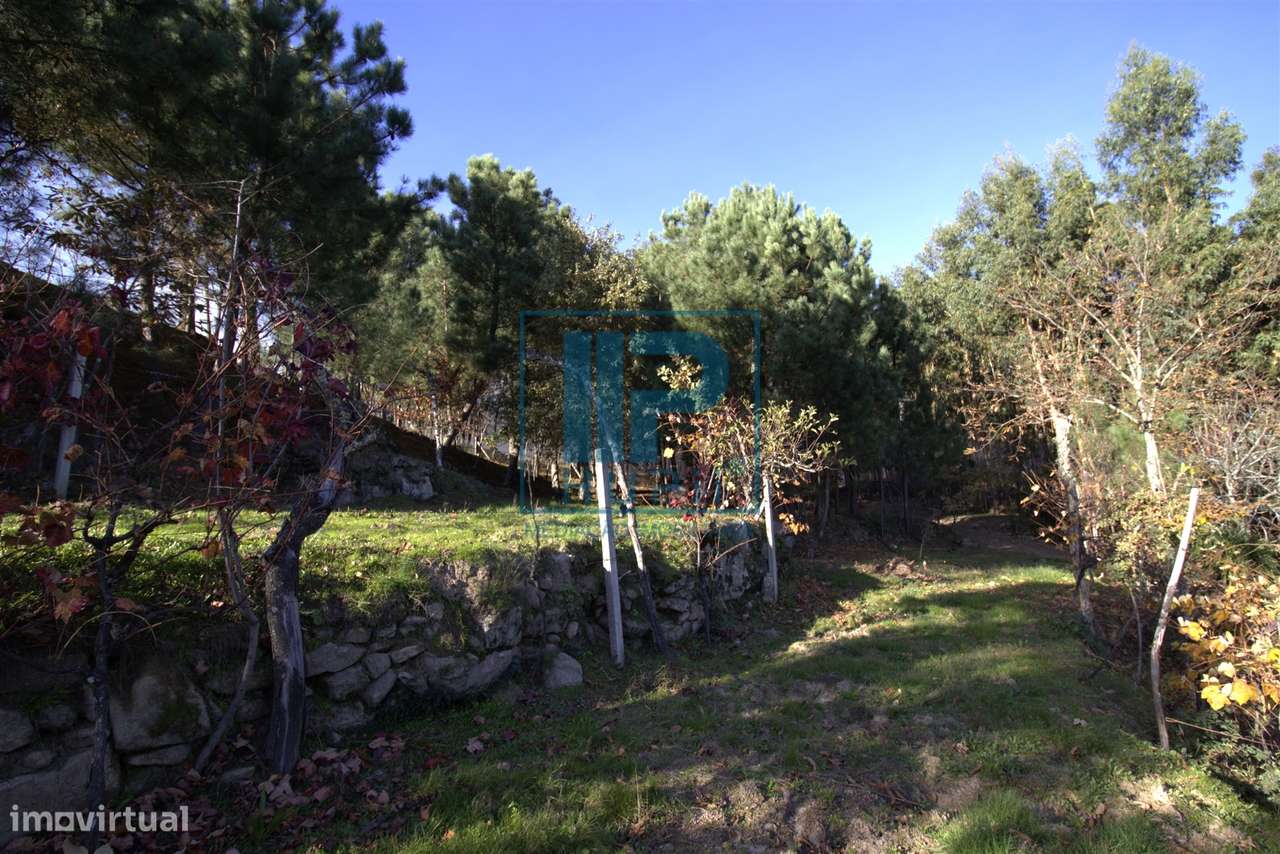 Quinta T3+1 Venda em Penhalonga e Paços de Gaiolo,Marco de Canaveses-31