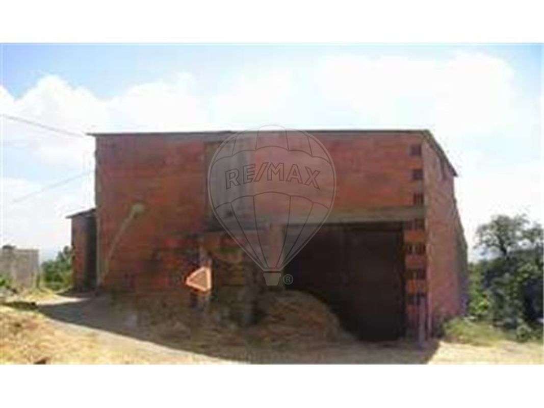 Quinta T0 para venda - Grande imagem: 2/18