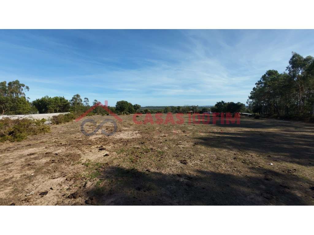 Terreno 161.000 m² com 2 ha urbanizáveis - Souto da Carpalhosa - Grande imagem: 5/6
