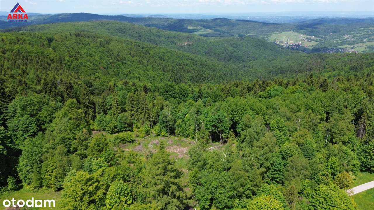 Działka budowlana w środku lasu | 750 m n.p.m. - Pełny obrazek: 5/10