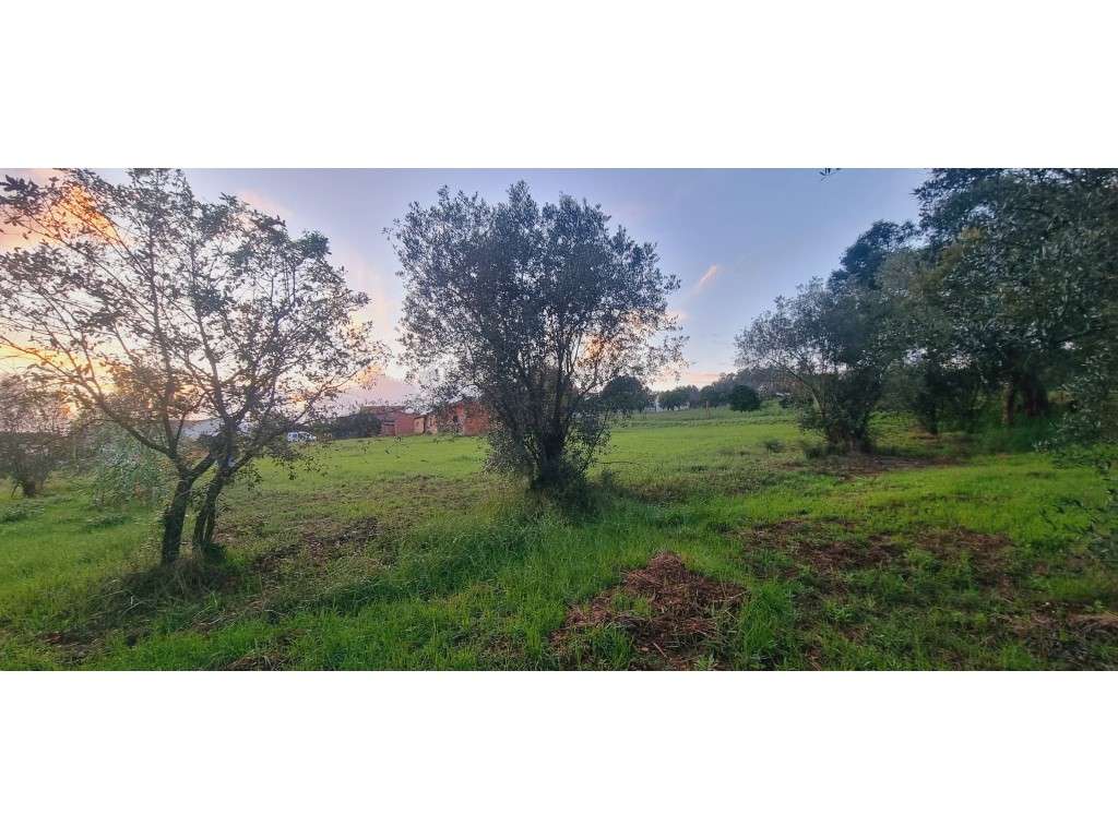 Terreno com 2500m² para construção no Vale da Pedra - Souto da Carp... - Grande imagem: 3/24