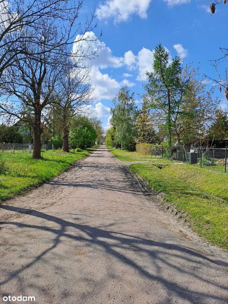 Działka budowlana Jaszkowo 2036,0 m² z pozwoleniem - Pełny obrazek: 4/6