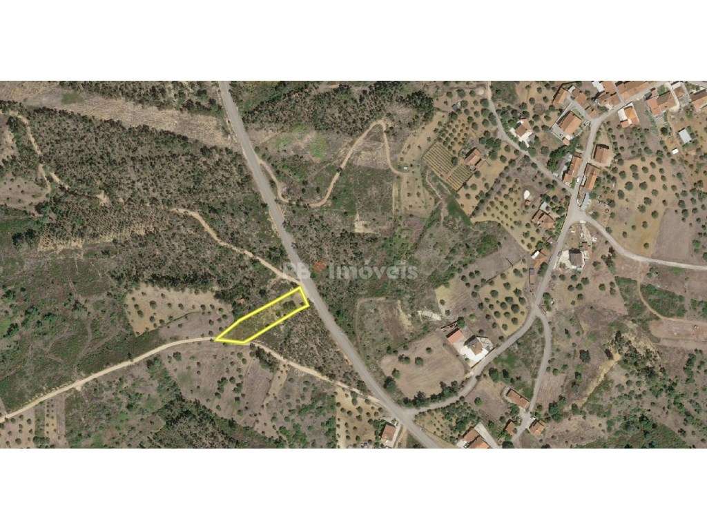 Terreno rústico com Eucaliptal - Agroal, Tomar - Grande imagem: 2/4