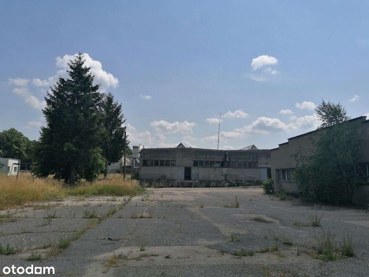Budynki produkcyjno-magazynowe - Pełny obrazek: 4/6