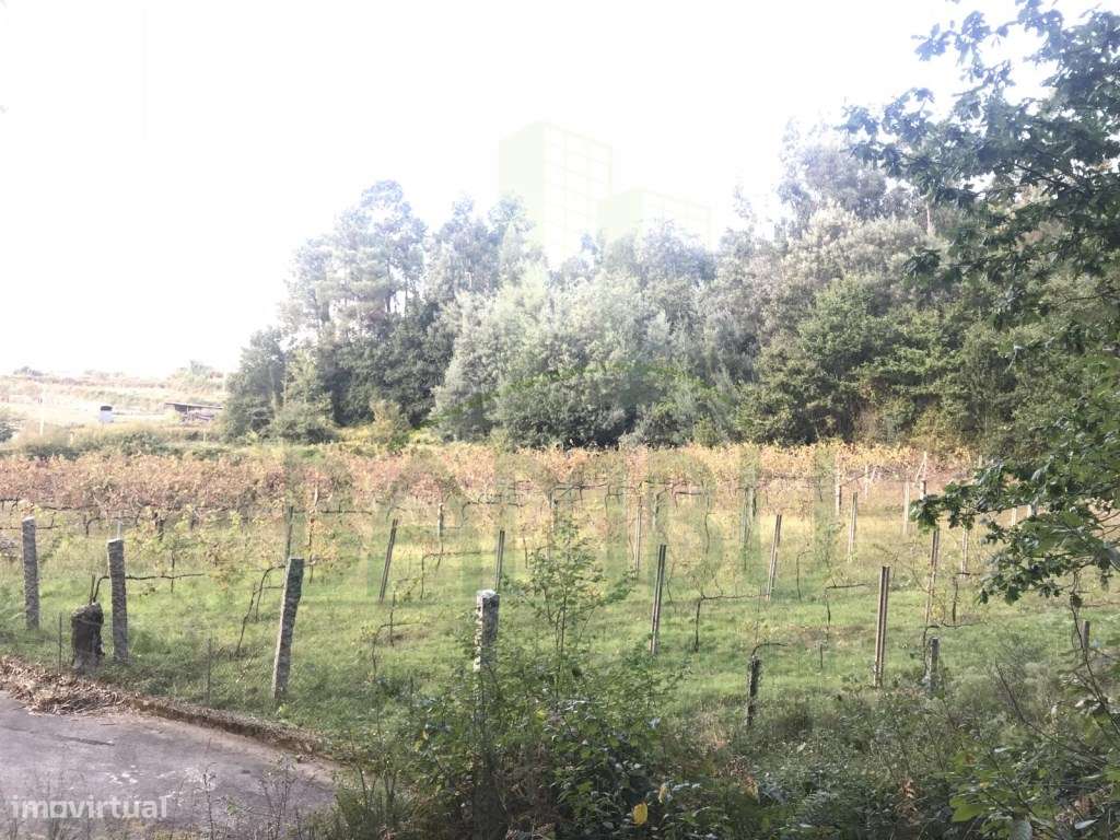 Terreno para construção em Ganfei - Grande imagem: 2/5