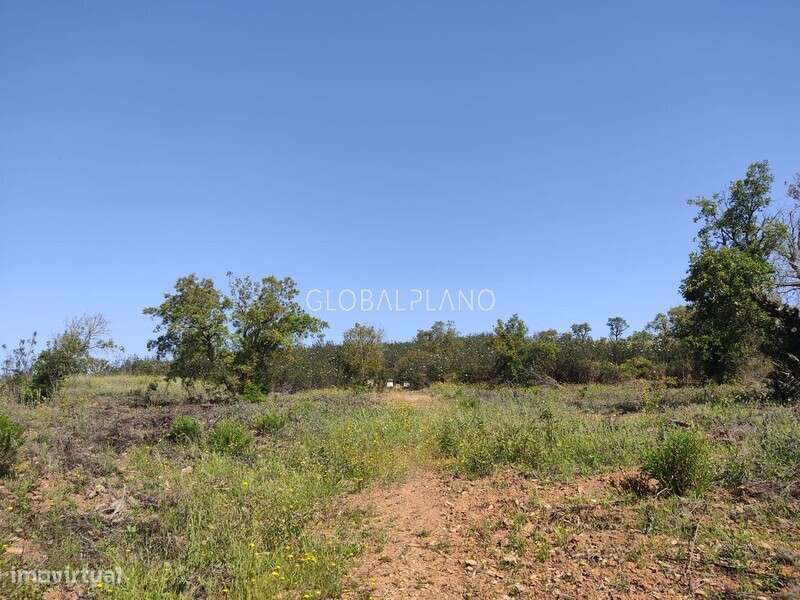 Terreno rústico com viabilidade de construção, Bensafrim, Lagos - Grande imagem: 3/7