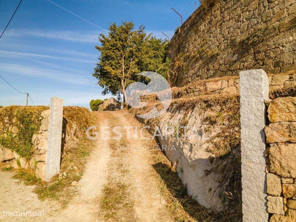 Quinta em Piares, Marco de Canaveses - Grande imagem: 2/24