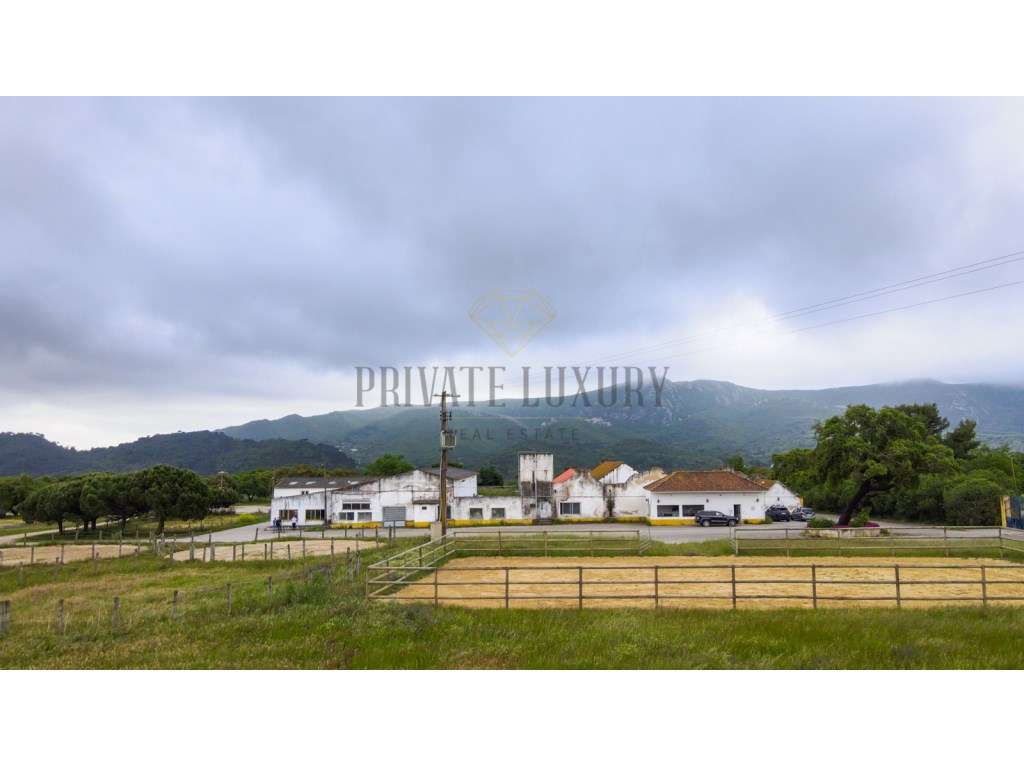 Herdade com 271 hectares na Serra da Arrábida - Setubal - Grande imagem: 1/60