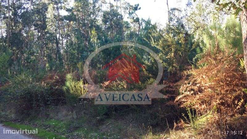 Terreno em taboeira - Grande imagem: 2/2