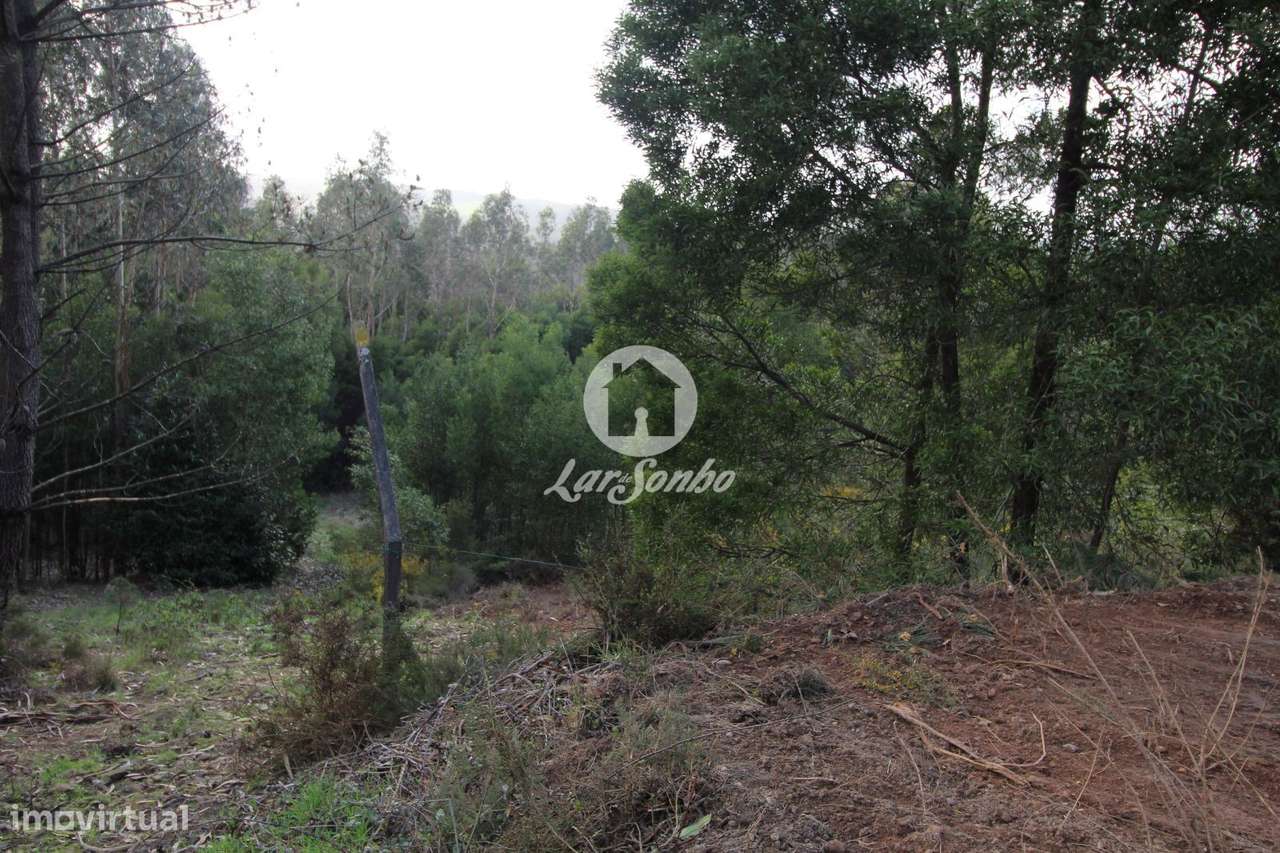 Terreno agrícola com 8.397m2 em Vilarinho das Cambas - Grande imagem: 5/8